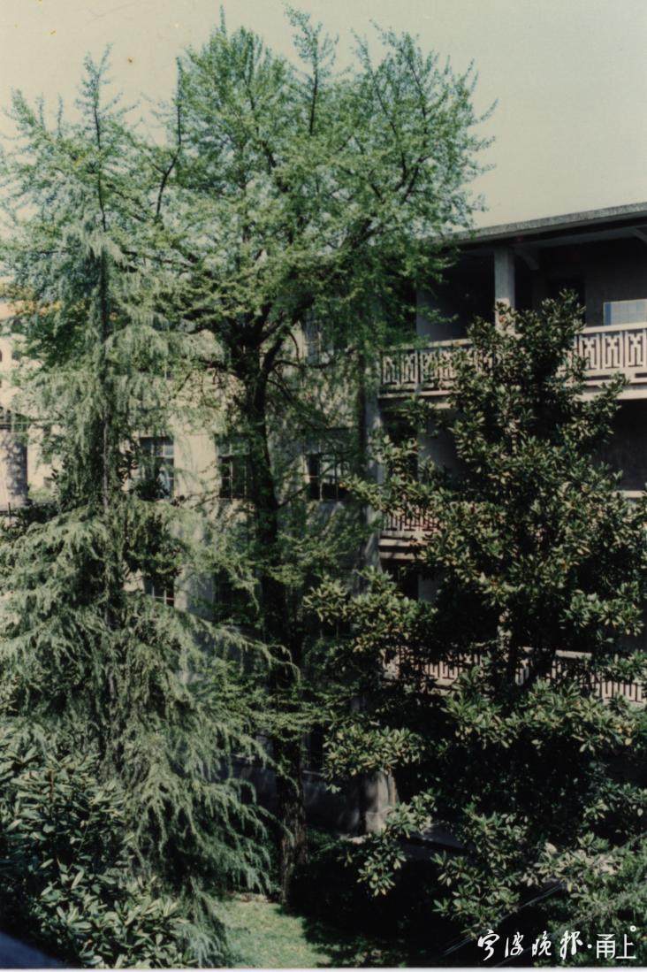 宁波效实中学老照片,宁波档案馆旧照片