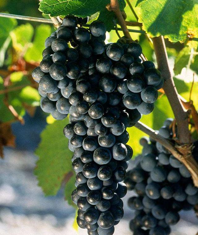 污渍洗不掉，瓷砖、白鞋、地毯上的污渍难清理，怎么办？