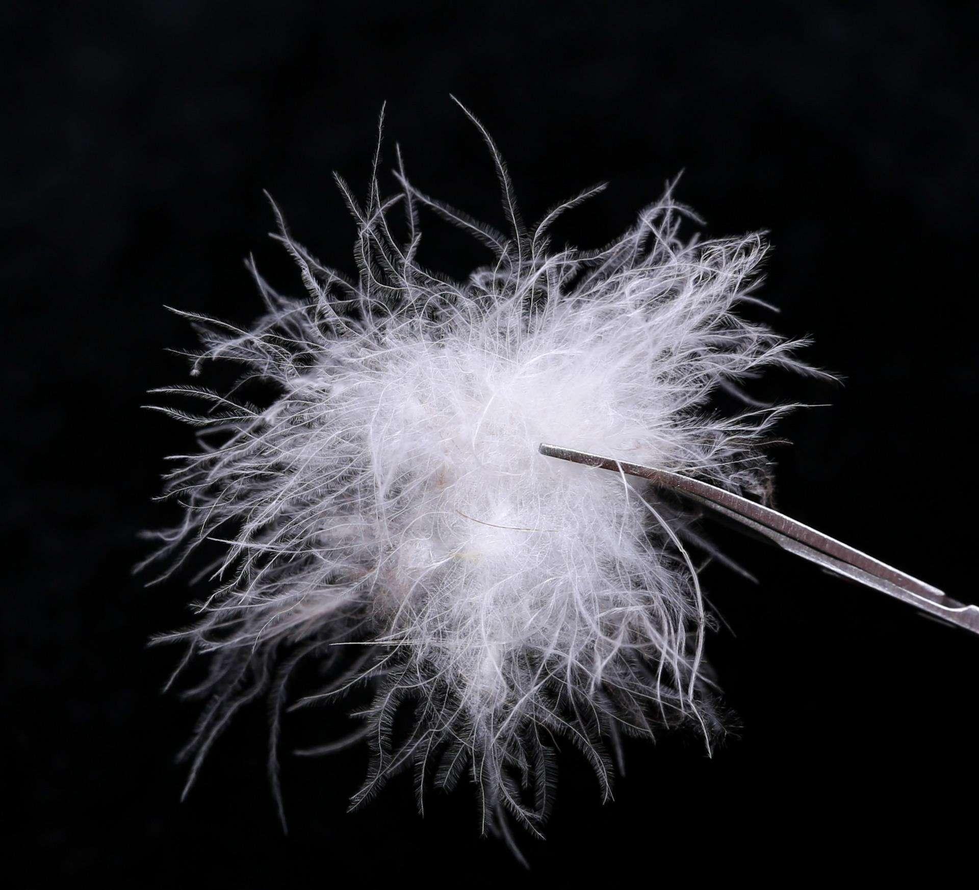 轻柔高档鹅绒被,高档轻柔鹅绒被