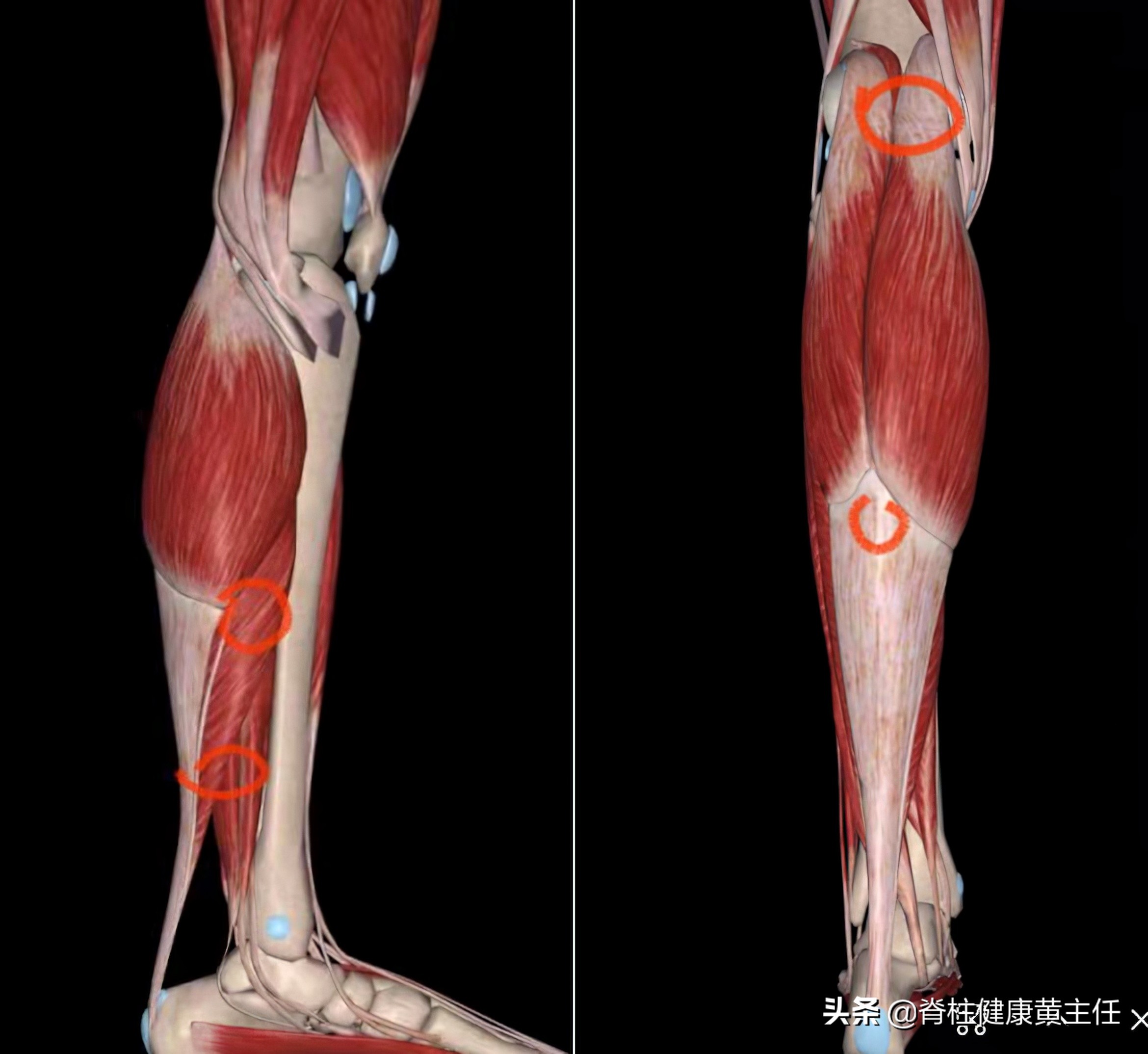 踝关节扭伤治疗手法,踝关节扭伤康复训练手法