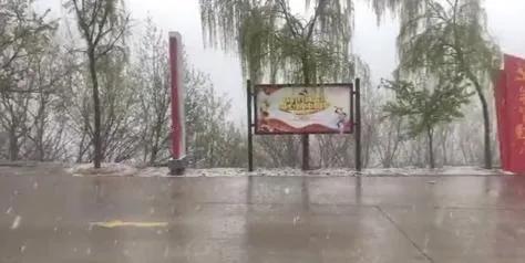 鹅毛大雪、冰粒、雨凇！听说下冰雹了？专家：是霰（xian）！焦作未来天气如何？