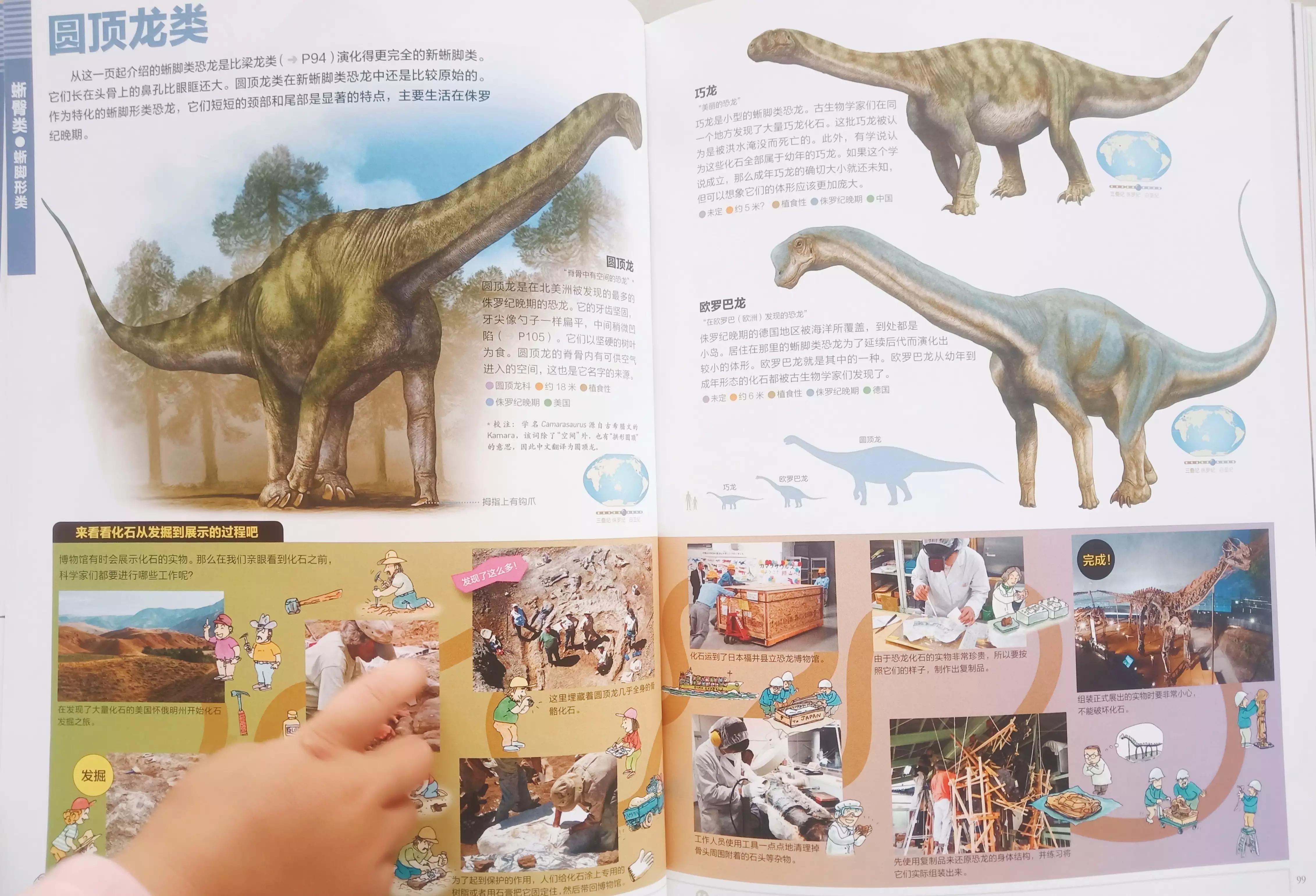 儿童恐龙百科知识讲解,恐龙百科知识儿童版6岁