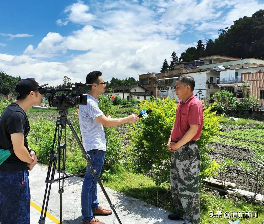 讲好秦都故事传承红色文化,清远秦皇山红色革命教育基地