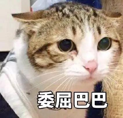 用完的口红千万别丢 (用完的口红别丢它们还有隐藏惊喜)