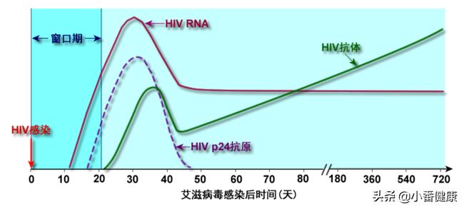 乙肝病毒新药研究进展,乙肝在研新药可阻断表面抗原分泌