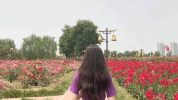 西安马尔代夫沙滩在哪里,西安马尔代夫图片