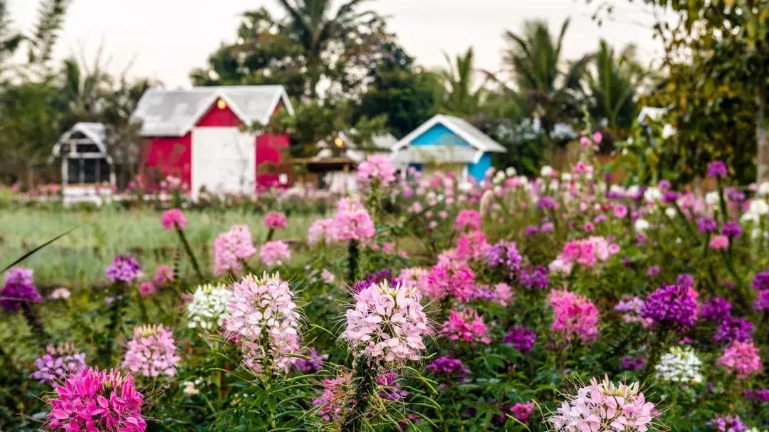 泰国泼水节狂欢六日游,泰国泼水节电音节攻略