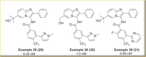 澶氬璺ㄥ浗鑽紒,璺ㄥ浗闆嗗洟鐮斿埗鐨勬姉鐧屾敞灏勫墏