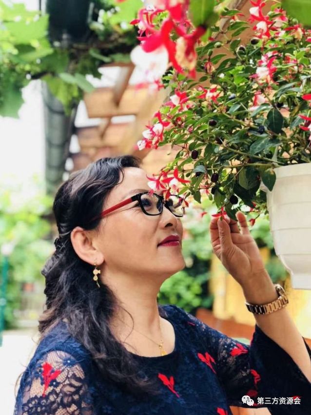 东欧匈牙利捷克,捷克奥地利维也纳