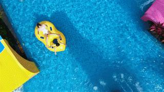 泉州聚龙温泉度假村,泉州聚龙温泉