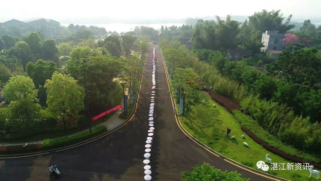 惊艳全国、破世界纪录!455名旗袍佳丽云集湛江遂溪玥珑湖