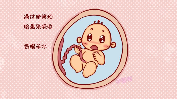 怀孕期间羊水是怎么样的,孕期羊水是怎么来的