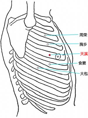 哪个穴位是美容穴,天突穴准确位置丰胸