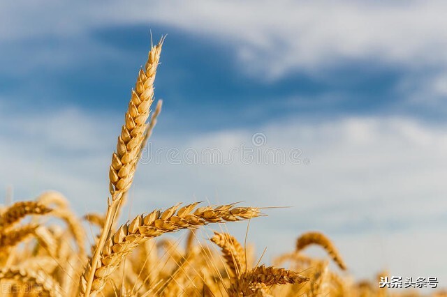 目前东北地区哪些地方拉闸限电,东北拉闸限电的原因和影响