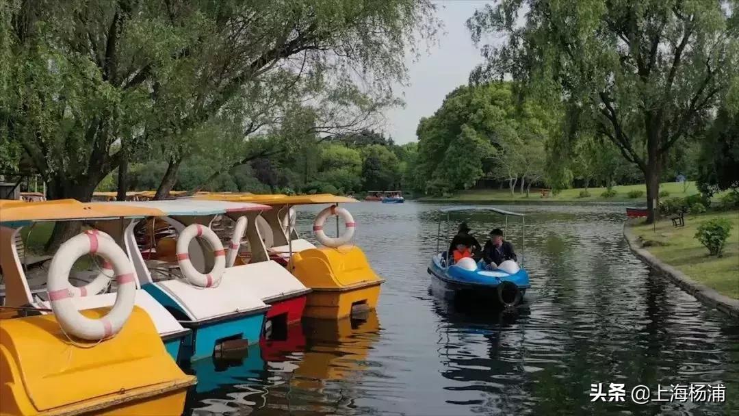 上海杨浦鸟瞰图,俯瞰上海杨浦滨江