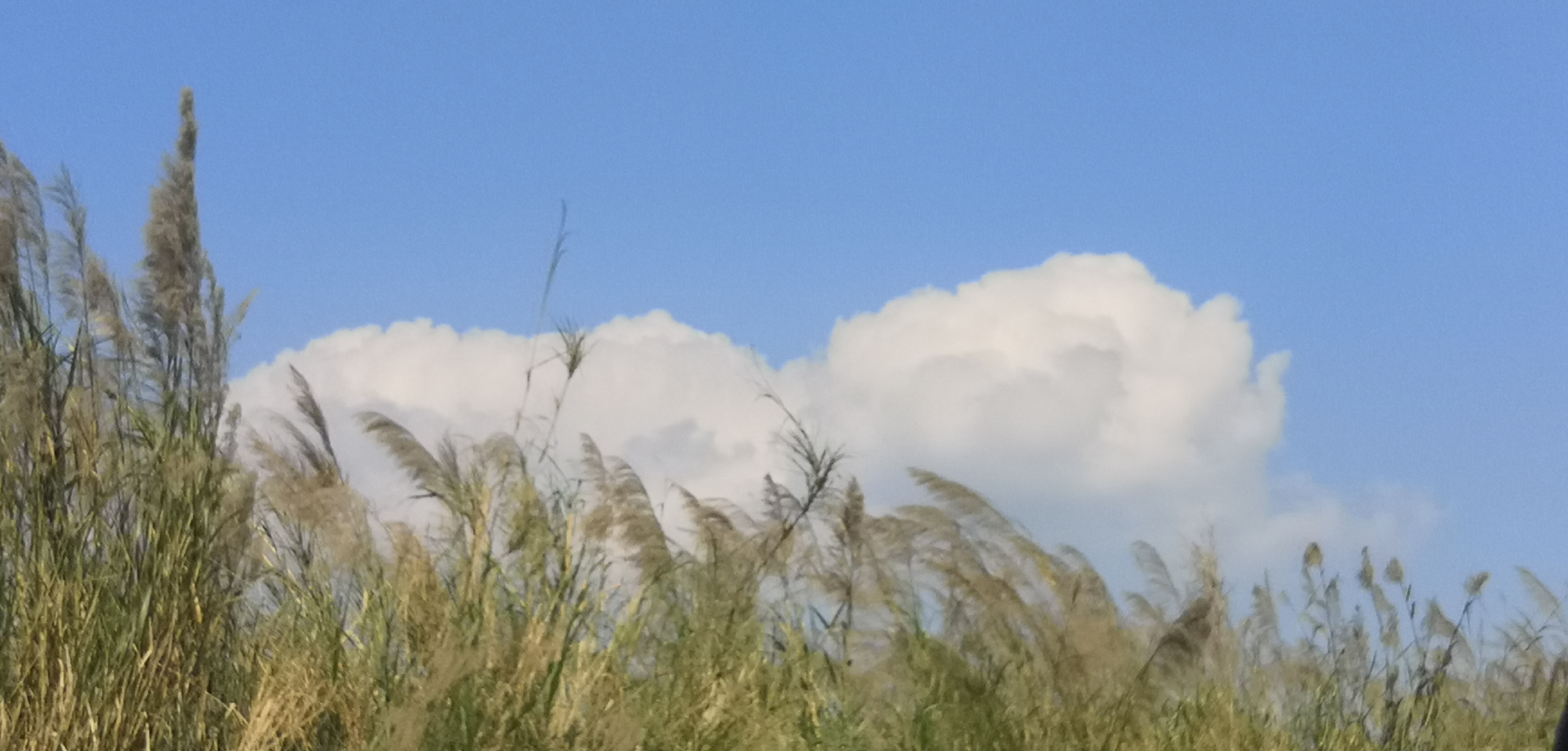 很是流行的冷段子搞笑又风趣,雷人的幽默风趣段子