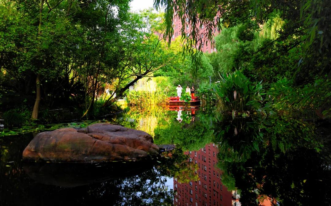 走遍苏州古城,走遍苏州这座城