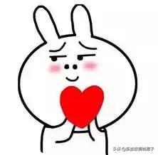 宁泽涛新加坡泳协,宁泽涛仁川亚运夺冠