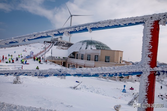 影像｜望作信：情缘“百里荒”13年，100多次拍摄