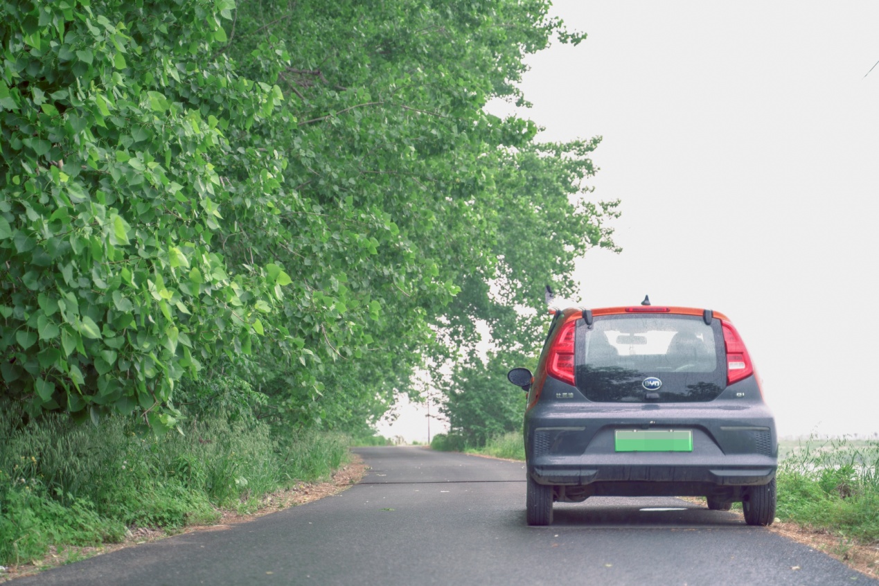 萌新小车推荐,新能源萌车推荐