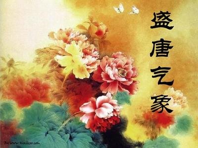 开天盛世与开元盛世的区别,开元盛世算是真正的盛世吗