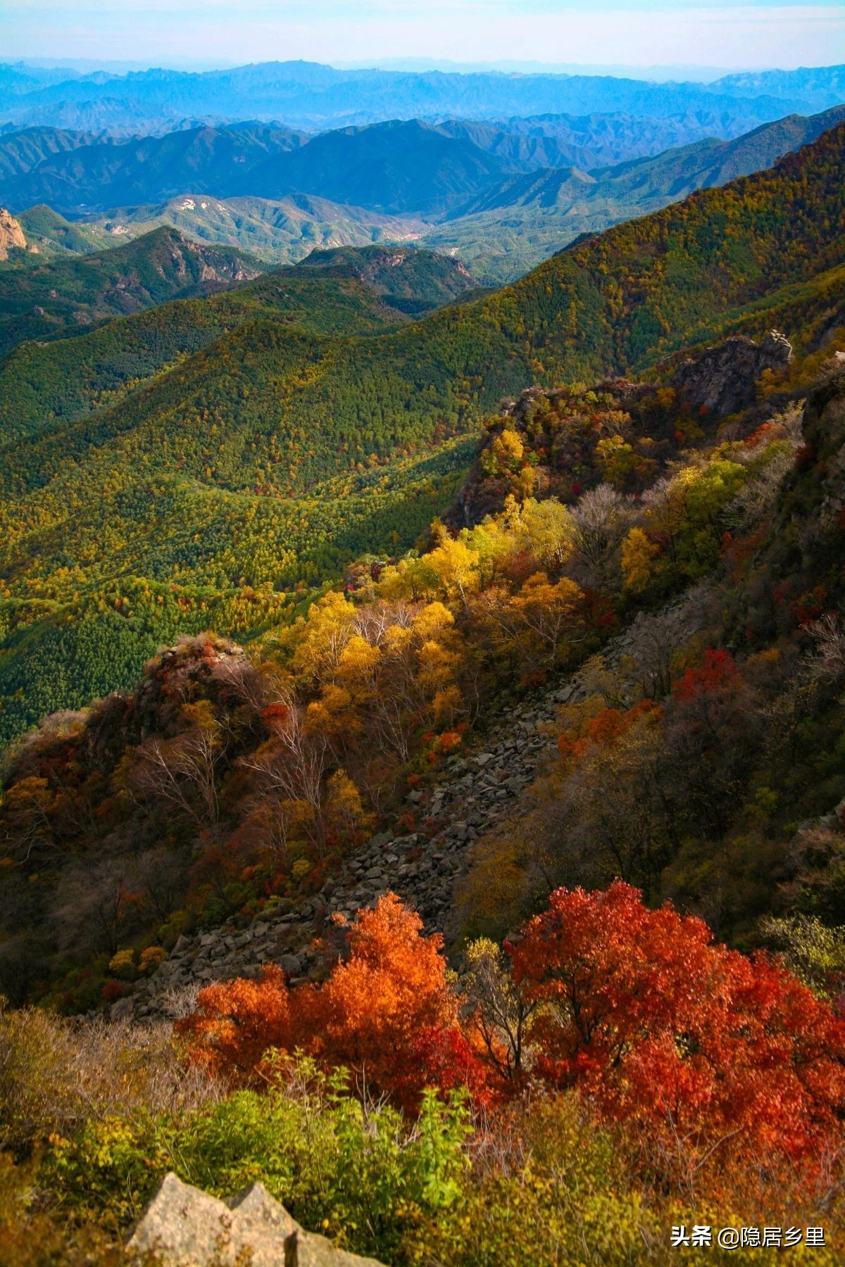 亲子京郊游红叶,国庆去北京看红叶攻略