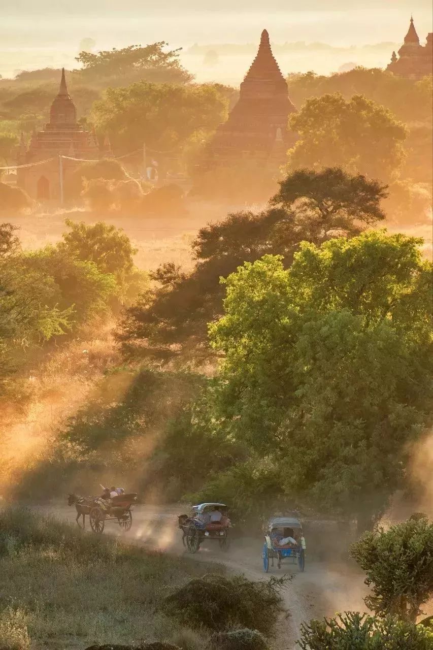 宅家最舒服的景区,宅家最好玩的地方