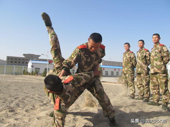 叶底偷桃vs海底捞月,黑龙十八手第四招叶底偷桃