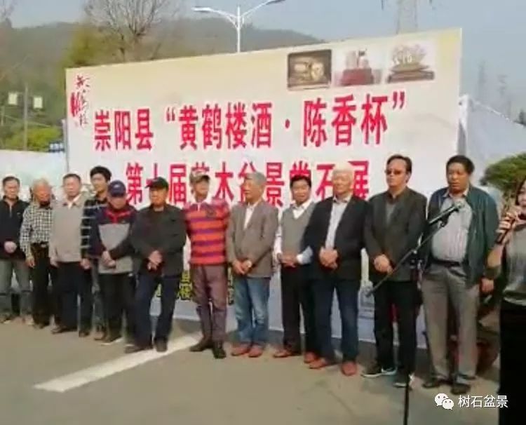 伟大使命复兴中国盆景艺术事业——2019中盆会大事回顾(下篇)