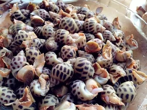 醴陵市海鲜收藏排行榜,海鲜礼盒收藏价格表图