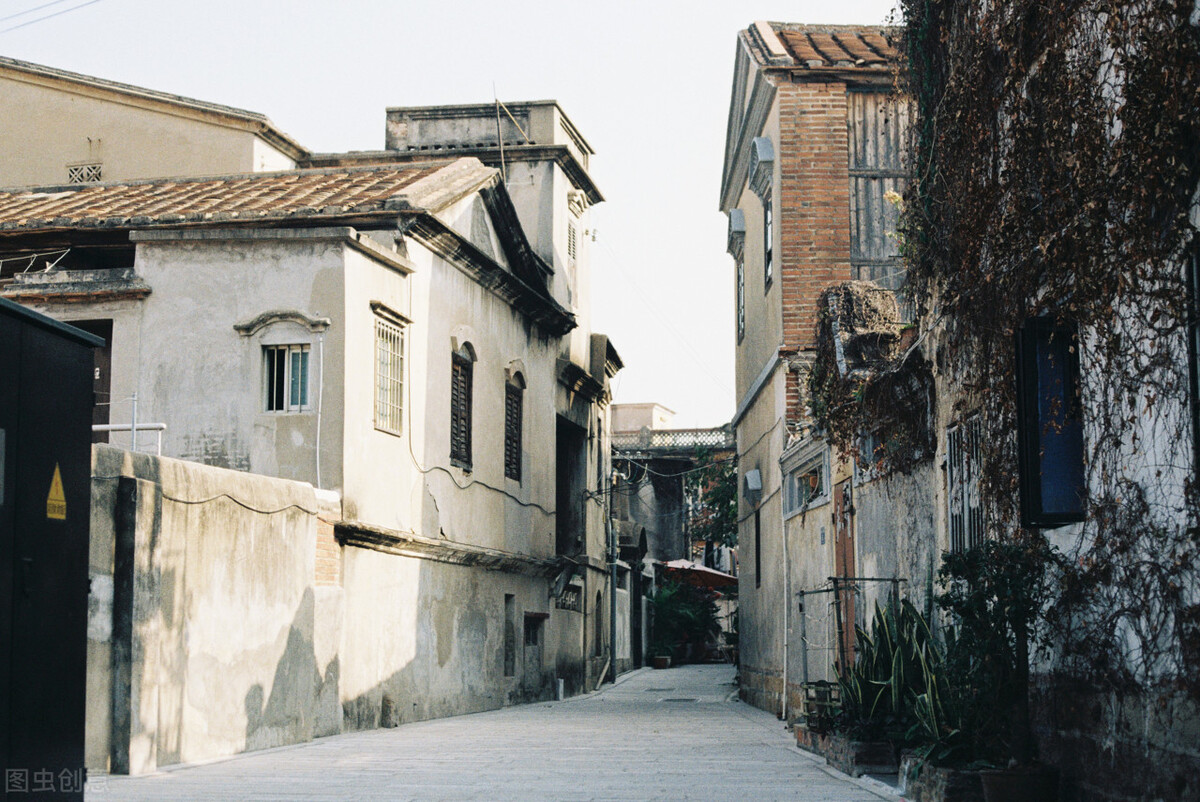 解读行尸走肉,什么叫行尸走肉