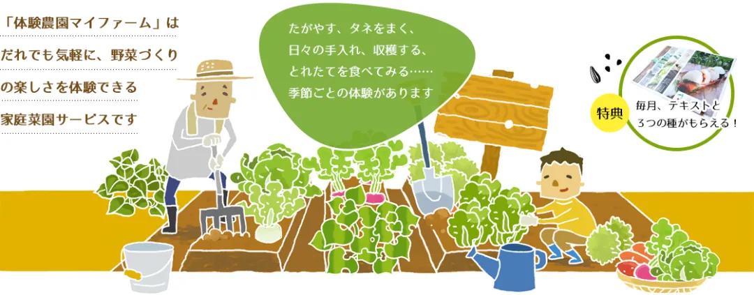 农庄餐饮怎么经营赚钱,怎么经营农家乐卖菜生意