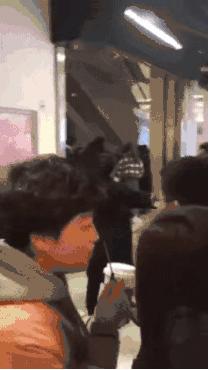 星巴克猫爪杯猫尾杯值不值,星巴克猫爪杯事件的看法