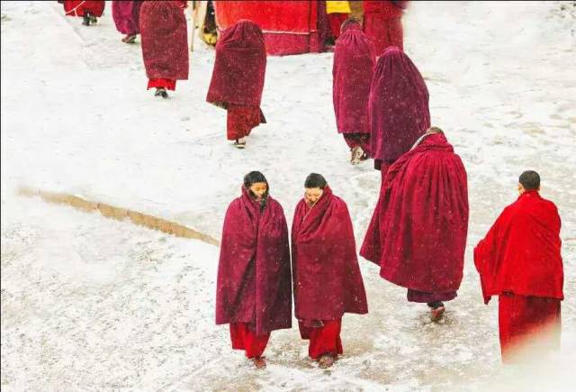 色达下雪了红白交织,色达下雪了图片大全