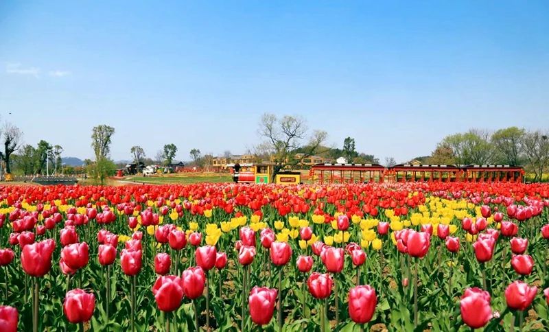 此心安处是仙乡,此心安处是吾乡