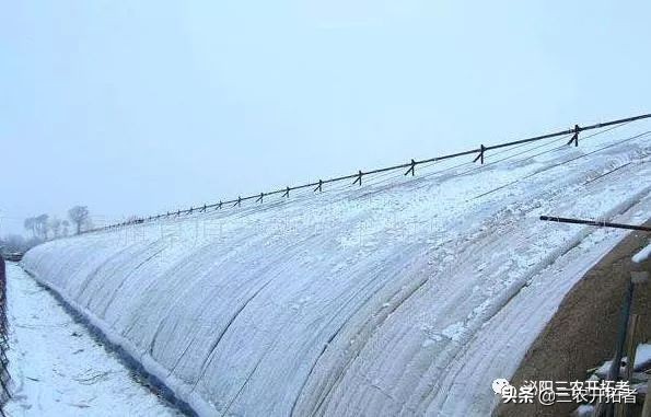 冬季怎样给大棚增温,冬天大棚增温措施有哪些