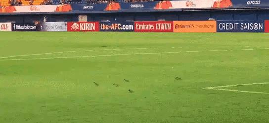 国奥3场丢4球垫底出局,国奥三战皆输一球未进