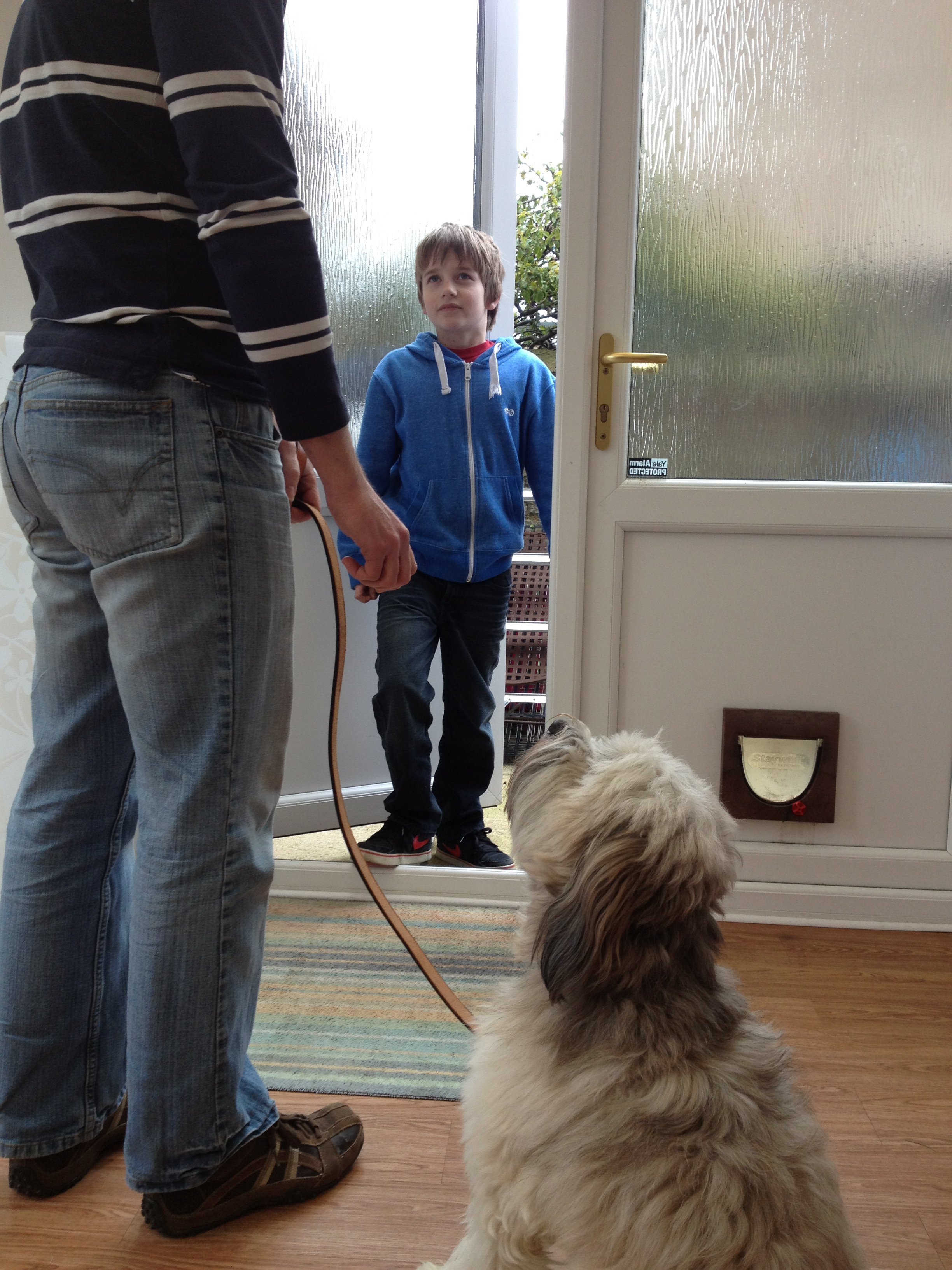 狗狗不凶它它就不听话怎么办,狗狗异常兴奋到处乱窜钻墙角