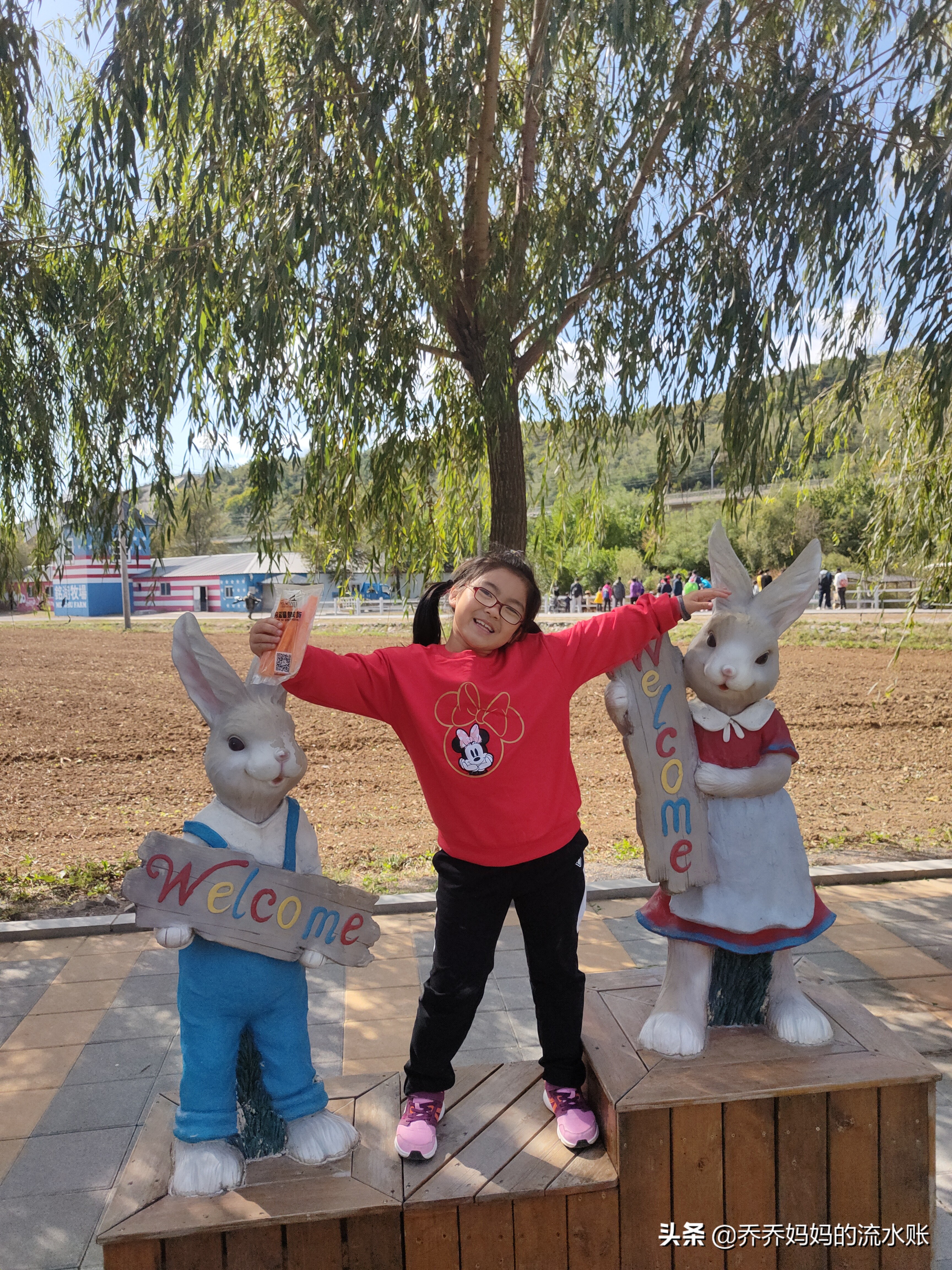 记录生活2020年5月,记录原生态牧场生活