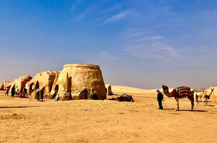 突尼斯市是世界文化之都吗,突尼斯的千年古城