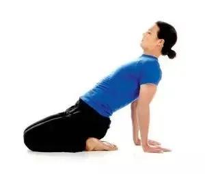 颈椎疼练瑜伽能缓解吗,颈椎错位可以练瑜伽