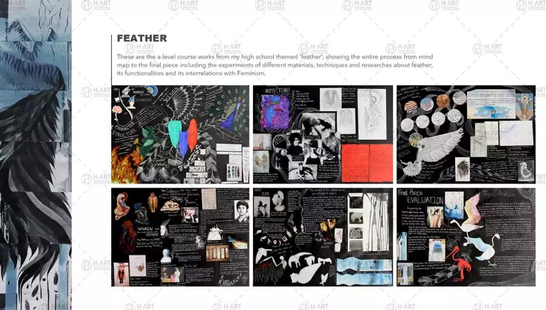 伦艺是水硕吗,伦艺简介