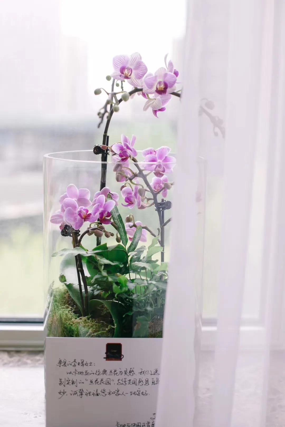 晖货清单｜520礼物收不停，进来一起吃柠檬