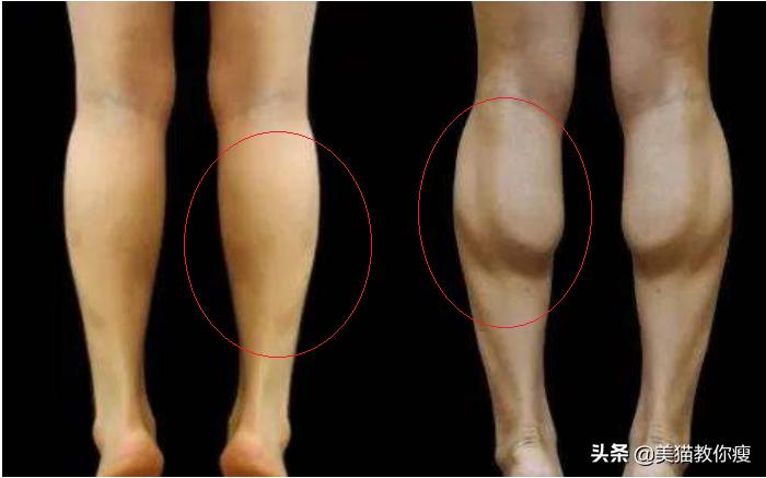 6个步骤，肌肉腿变筷子腿，你必须知道