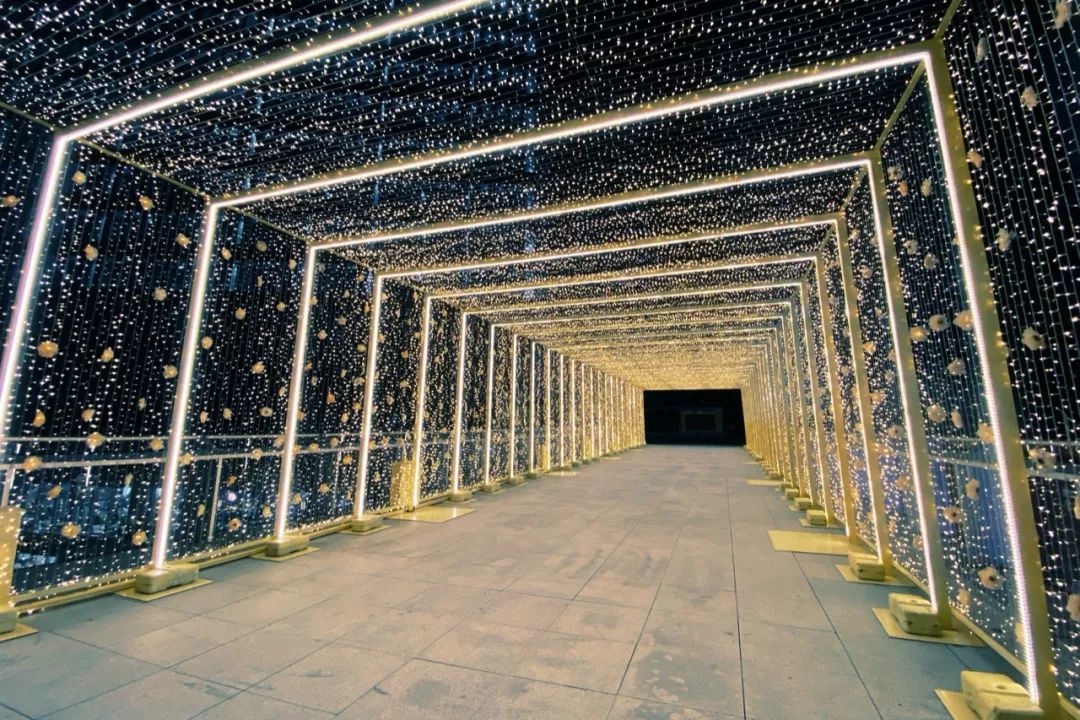 12月日记大全,12月麻将日记