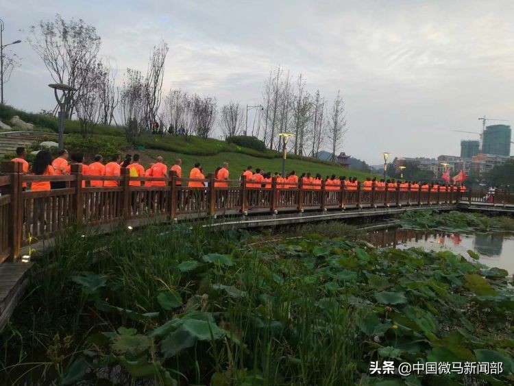 相约东莞长安莲花湖畔,相约在莲花湖风景区