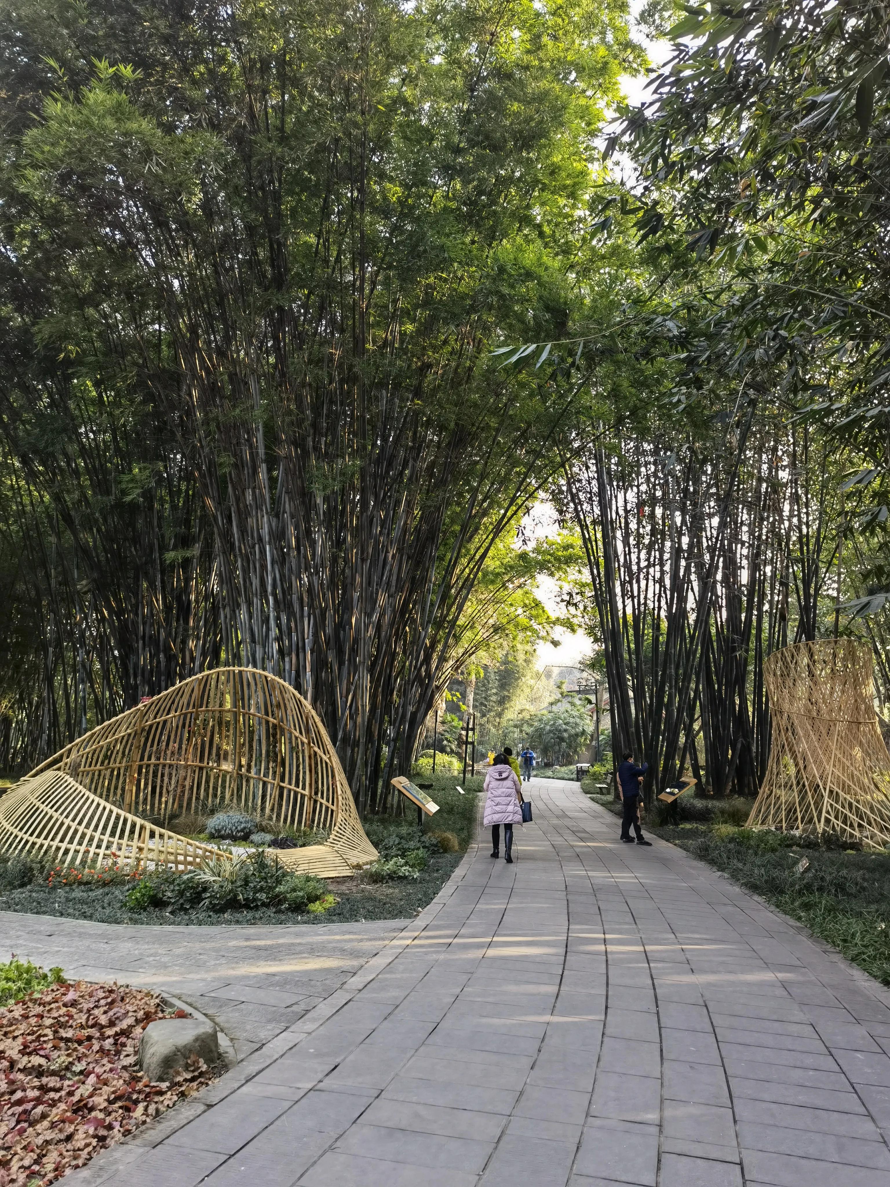 一分钟带你游遍全国,一分钟带你逛完公园