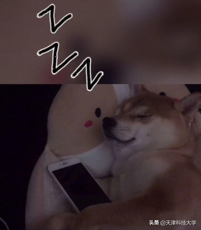 大学生生活真实案例,大学生真实生活实录