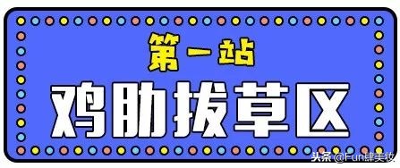 这些网红神器真的有用吗,盘点你买了就会后悔的网红神器