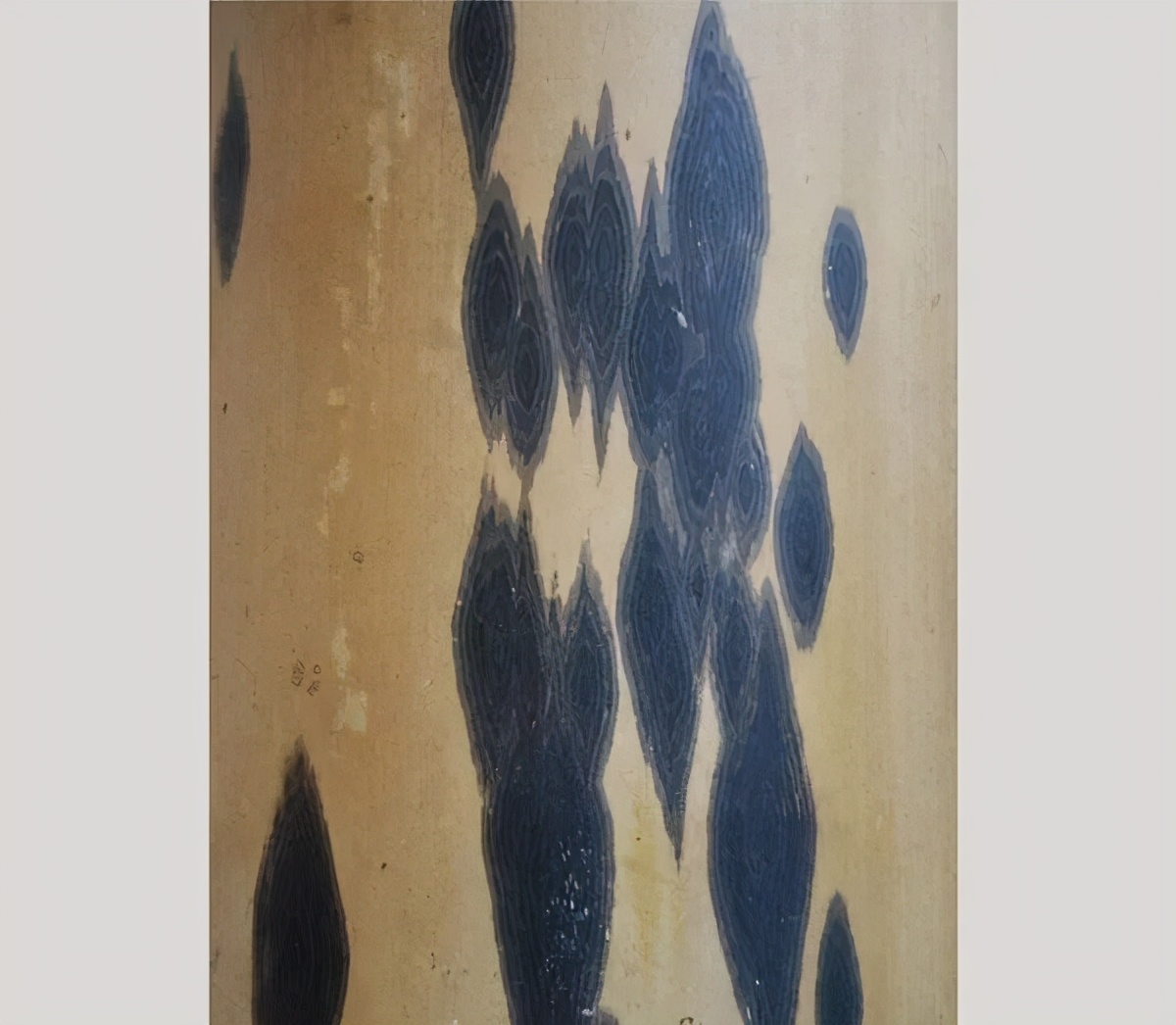 湘妃竹为什么贵,湘妃竹由来